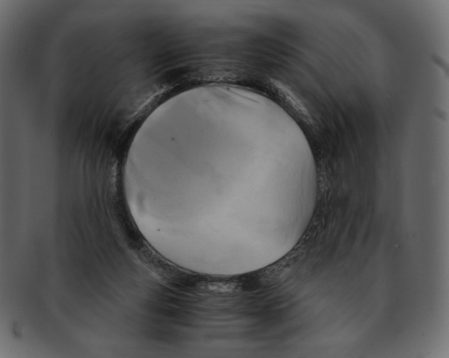 X0000091920163200710031046