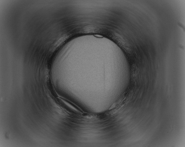 X0000091920164200710031046