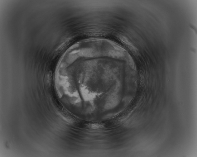 X0000091920165200710031046