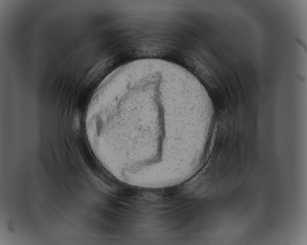 X0000091920166200710031046