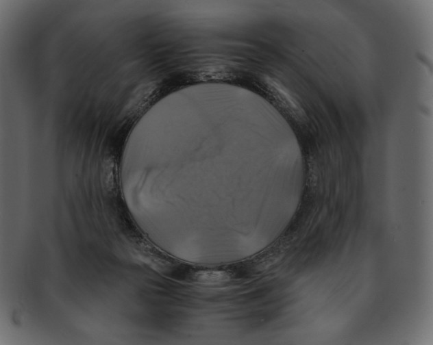 X0000091920169200710031046