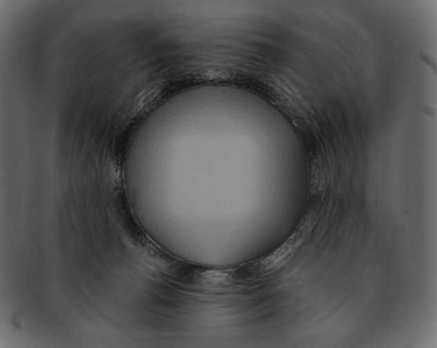 X0000091920176200710031047