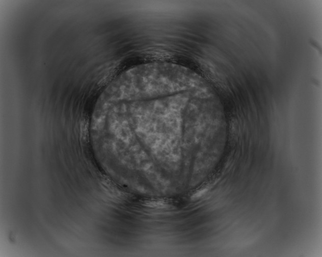 X0000091920177200710031047