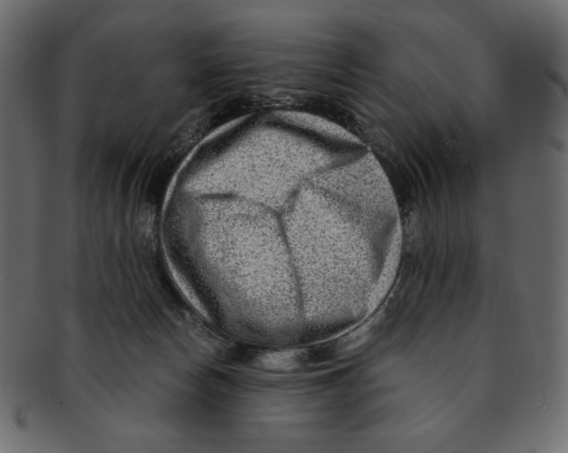 X0000091920178200710031047
