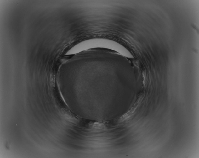 X0000091920180200710031047