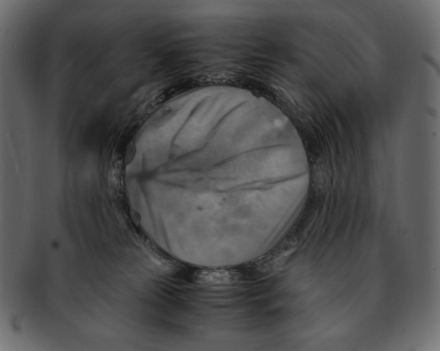 X0000091920181200710031047