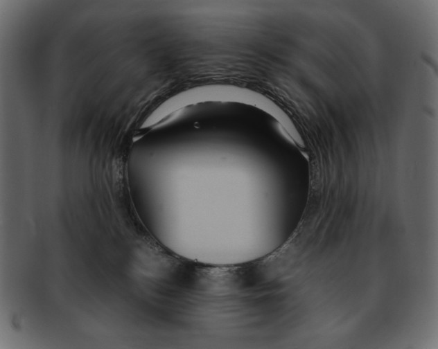 X0000091920184200710031047