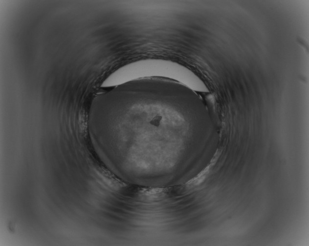 X0000091920186200710031047