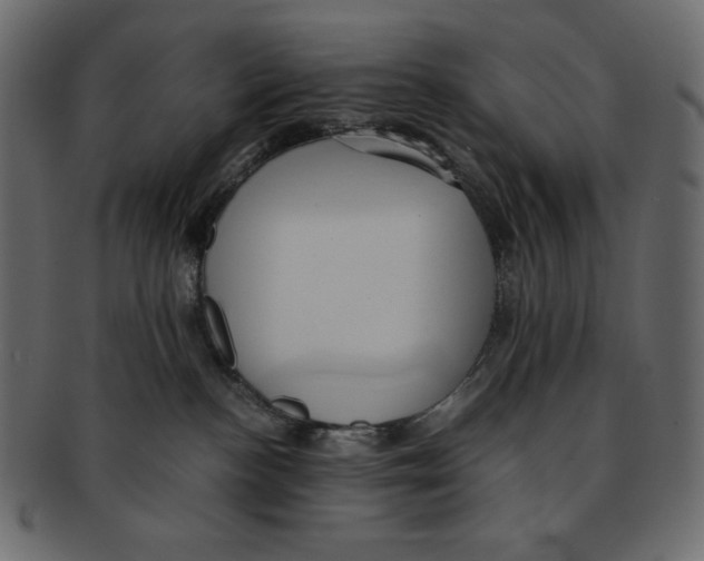 X0000091920188200710031047