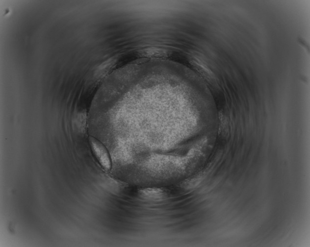 X0000091920189200710031047