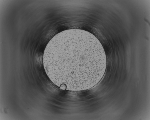 X0000091920190200710031047