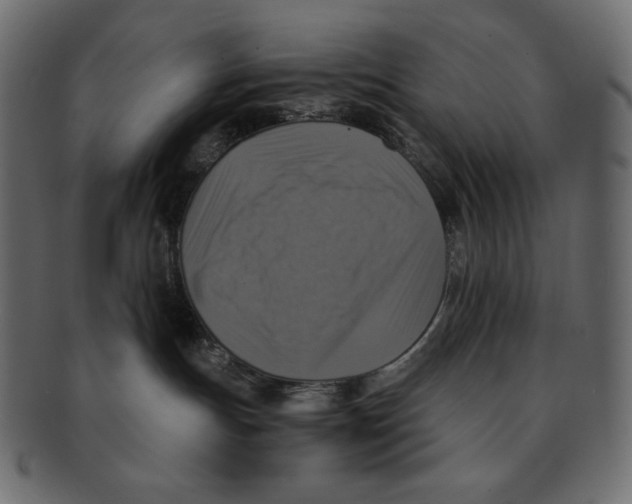 X0000091920191200710031047