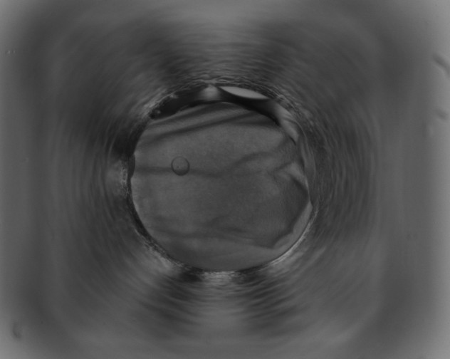 X0000091920192200710031047