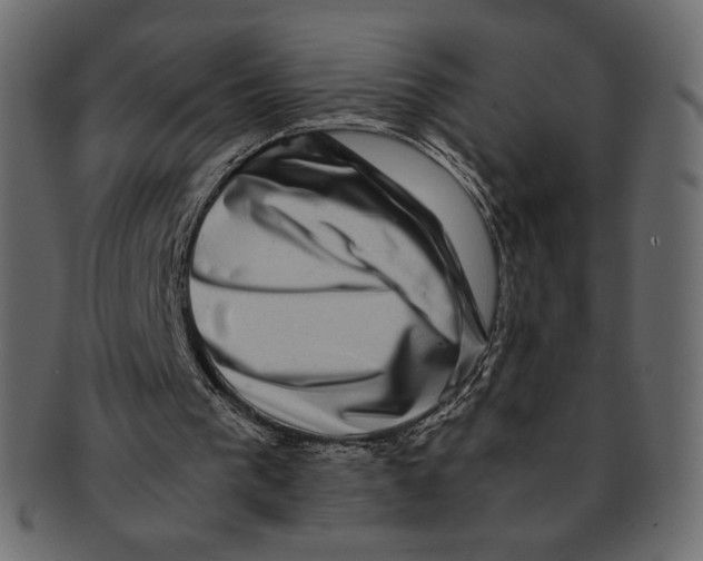 X0000091920193200710031046
