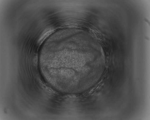 X0000091920194200710031046