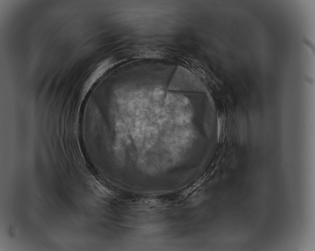 X0000091920195200710031046