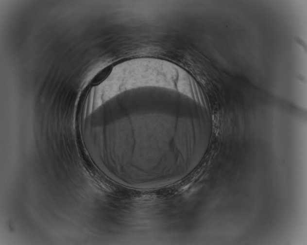 X0000091920196200710031046