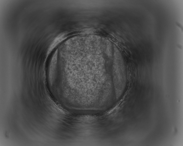 X0000091920198200710031046