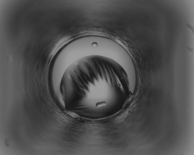 X0000091920199200710031046