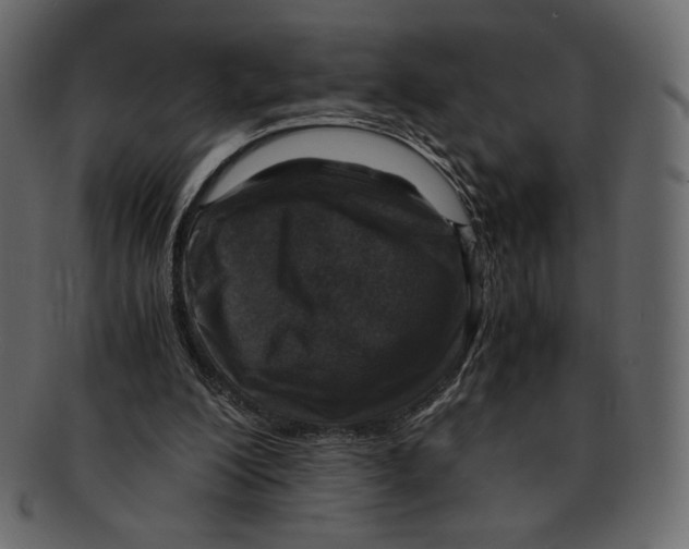 X0000091920200200710031046