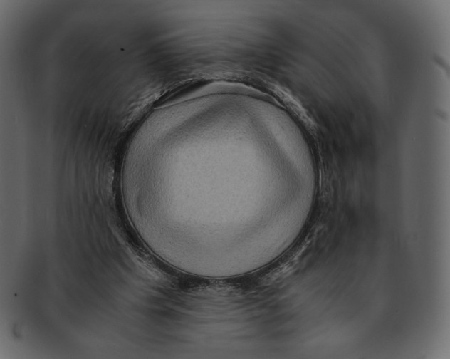 X0000091920201200710031046