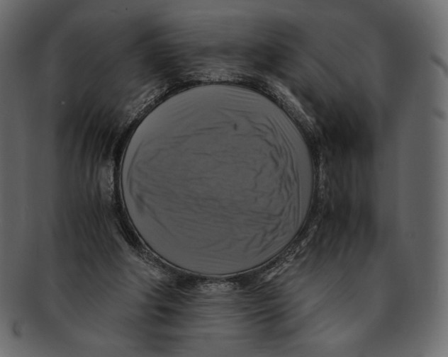 X0000091920202200710031046