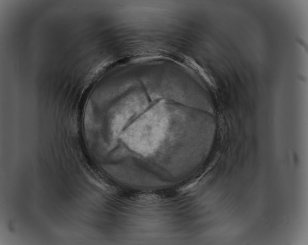 X0000091920203200710031046