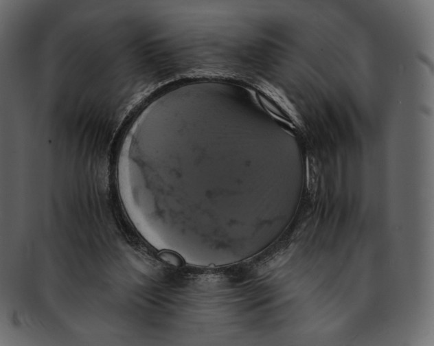 X0000091920204200710031046