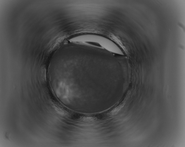 X0000091920205200710031046