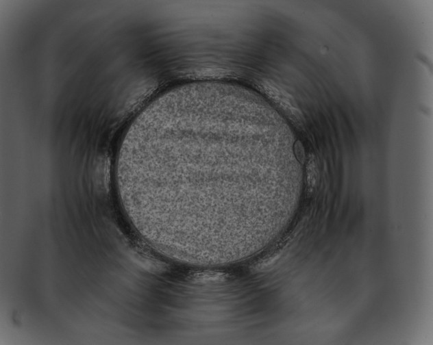 X0000091920206200710031046