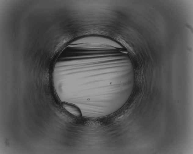 X0000091920207200710031046
