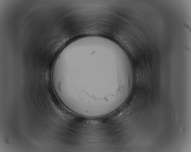 X0000091920208200710031046