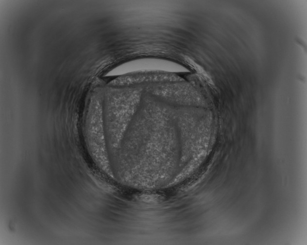 X0000091920209200710031046