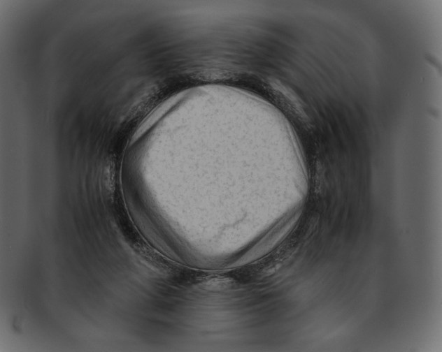 X0000091920210200710031046