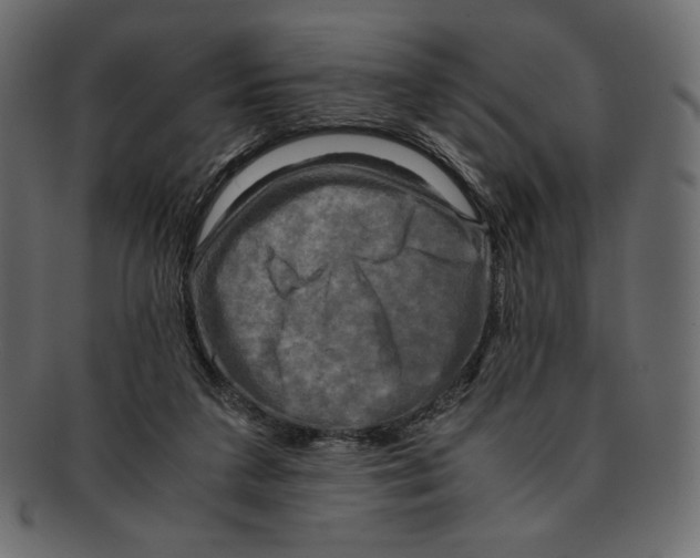 X0000091920211200710031046