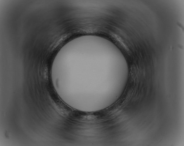 X0000091920212200710031046