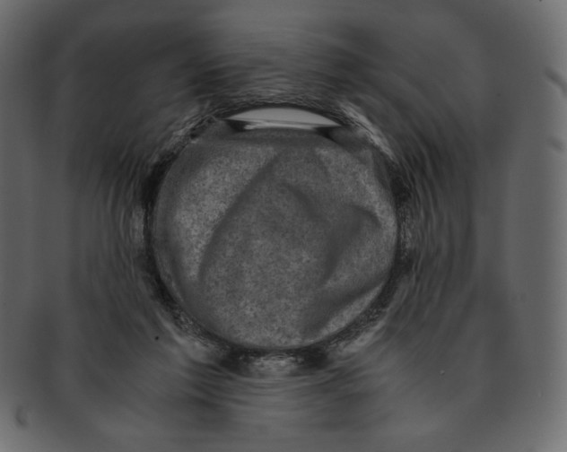 X0000091920213200710031046