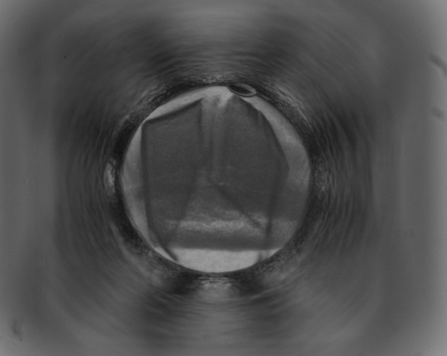 X0000091920214200710031046