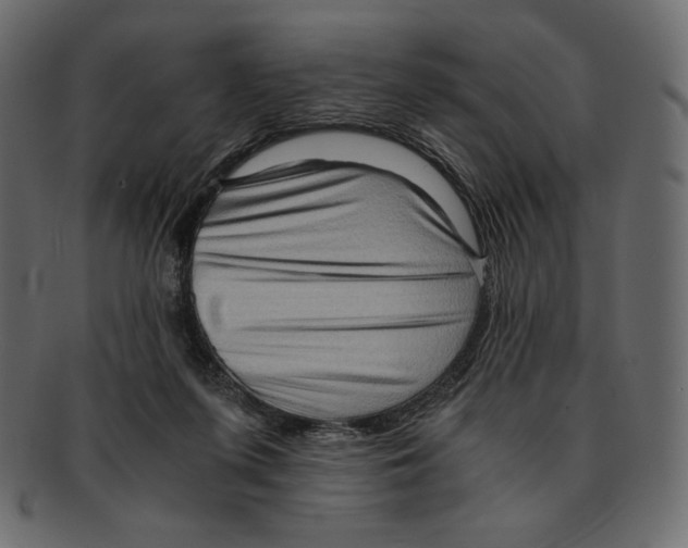 X0000091920215200710031046
