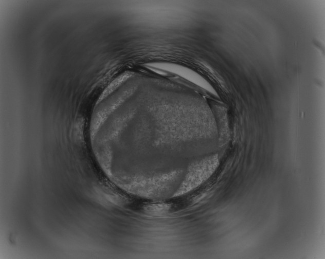 X0000091920217200710031046
