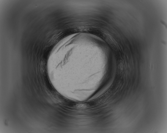 X0000091920218200710031046