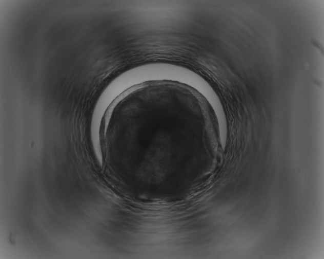 X0000091920219200710031046