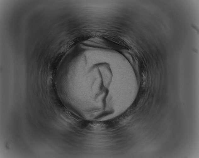 X0000091920221200710031046