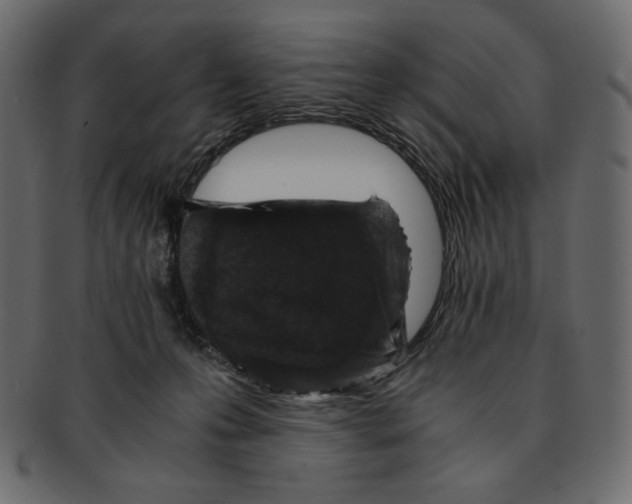 X0000091920223200710031046