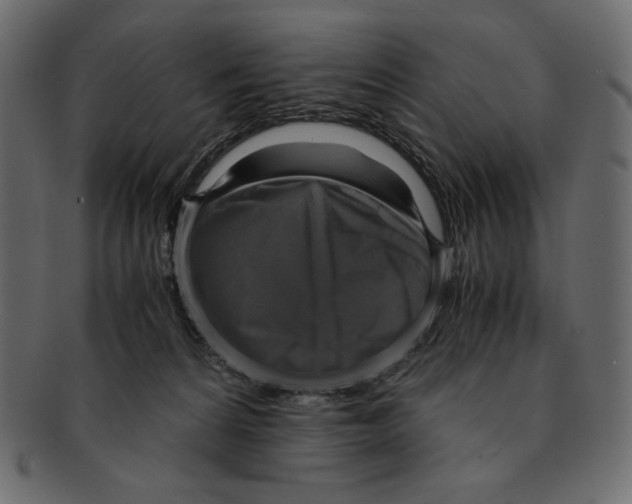 X0000091920224200710031046