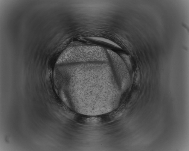 X0000091920225200710031046