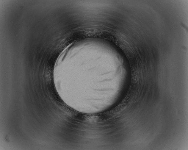 X0000091920226200710031046