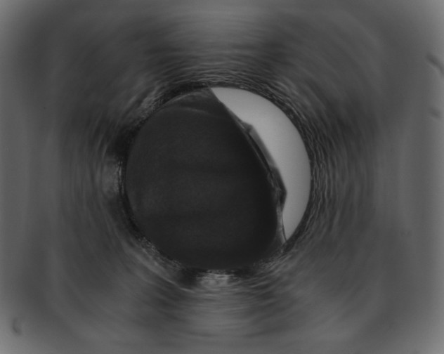 X0000091920227200710031046