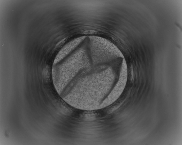X0000091920228200710031046