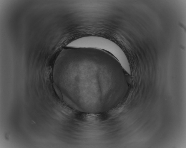 X0000091920229200710031046